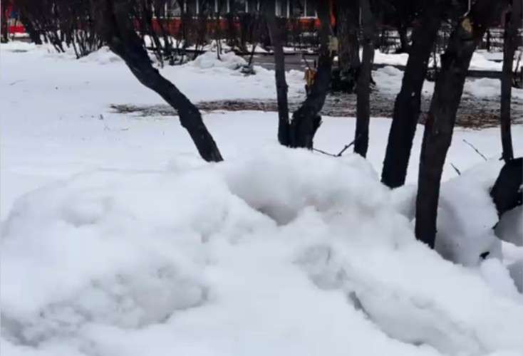 Снежное утро в Черемхово