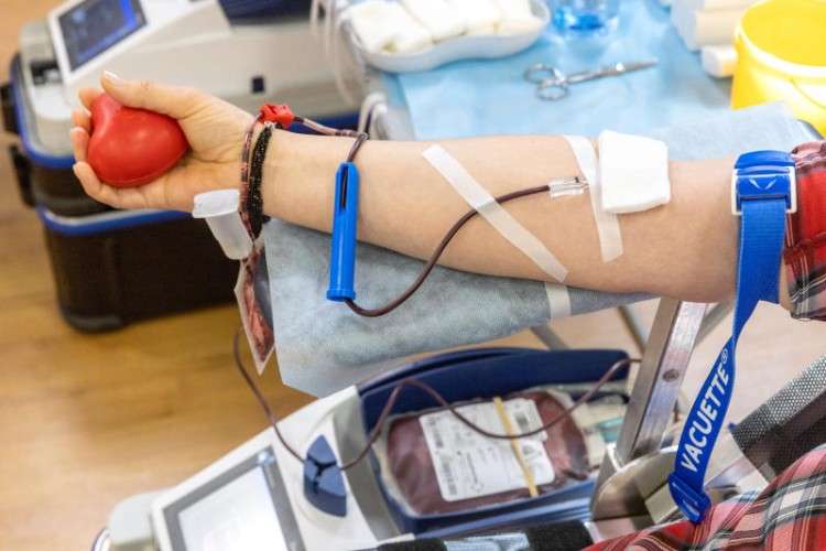 сдача крови