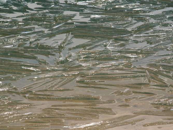 Только одна действующая ледовая переправа осталась в Иркутской области