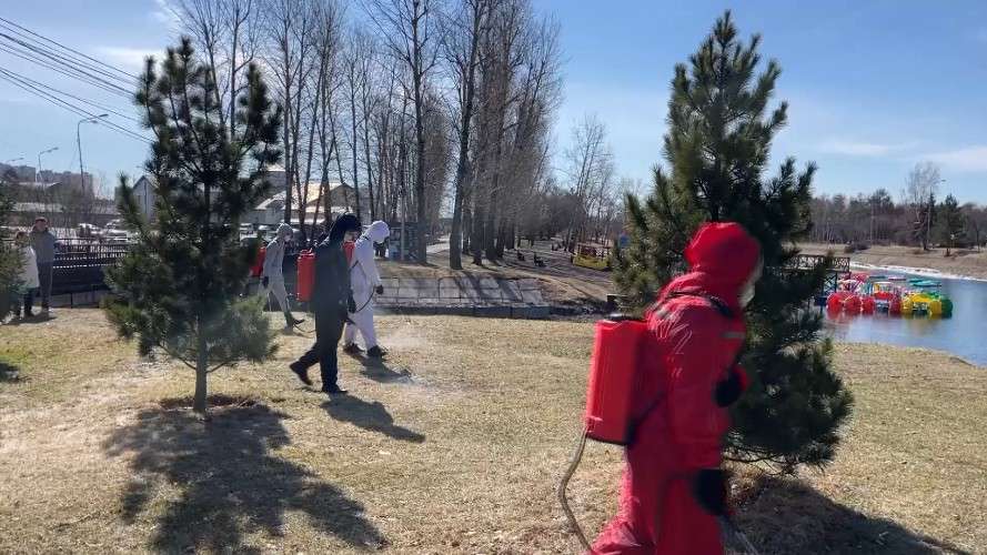 Обработка от клещей