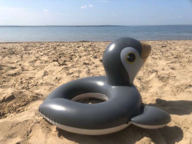 Надувной круг на песчаном берегу возле воды