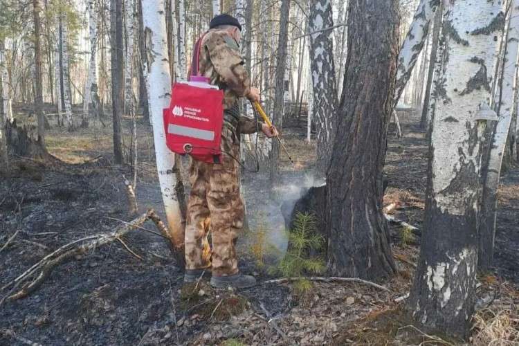 Девять гектаров леса выгорело в Нижнеудинском районе