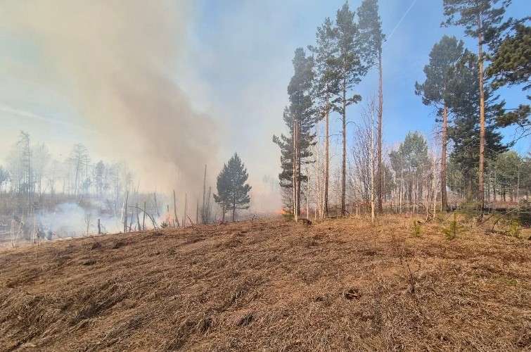 Новое авиаотделение лесной охраны откроют 1 мая в Черемхово