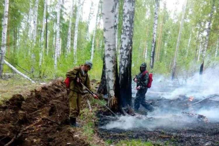 пожар, тушение, лес