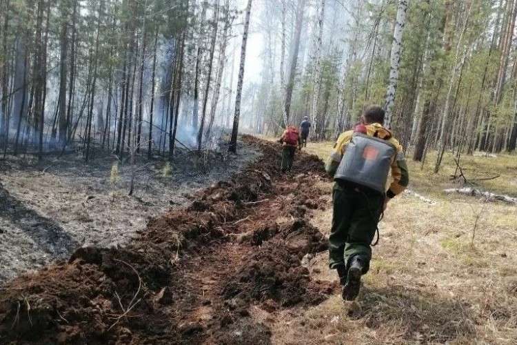 Тушение лесного пожара