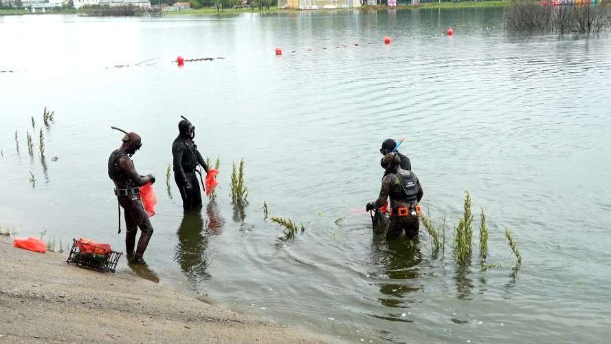 дайверы, река, воды