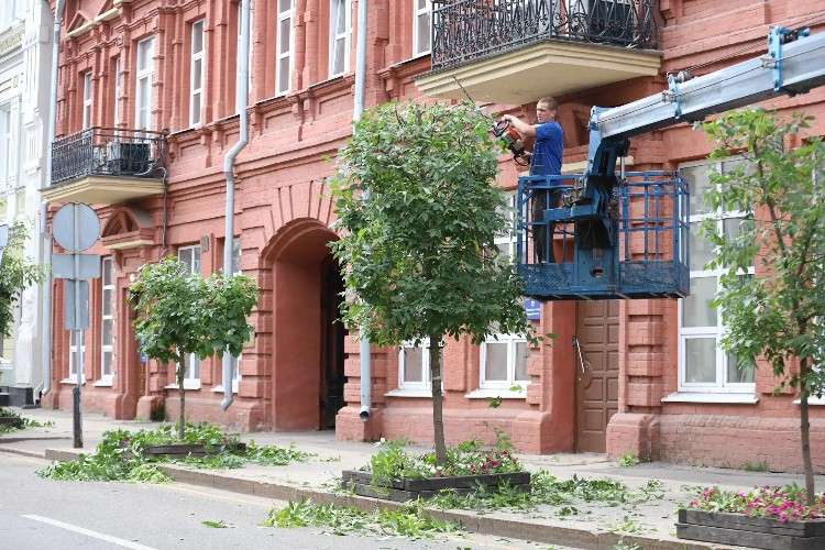 Обрезка деревьев