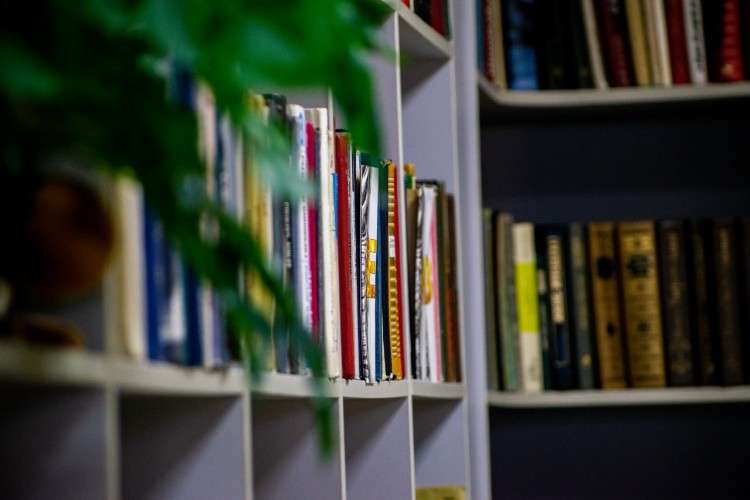 книжные полки в библиотеке, на переднем плане слева небольшой зелёный листик в расфокусе, сквозь который и проглядывают полки
