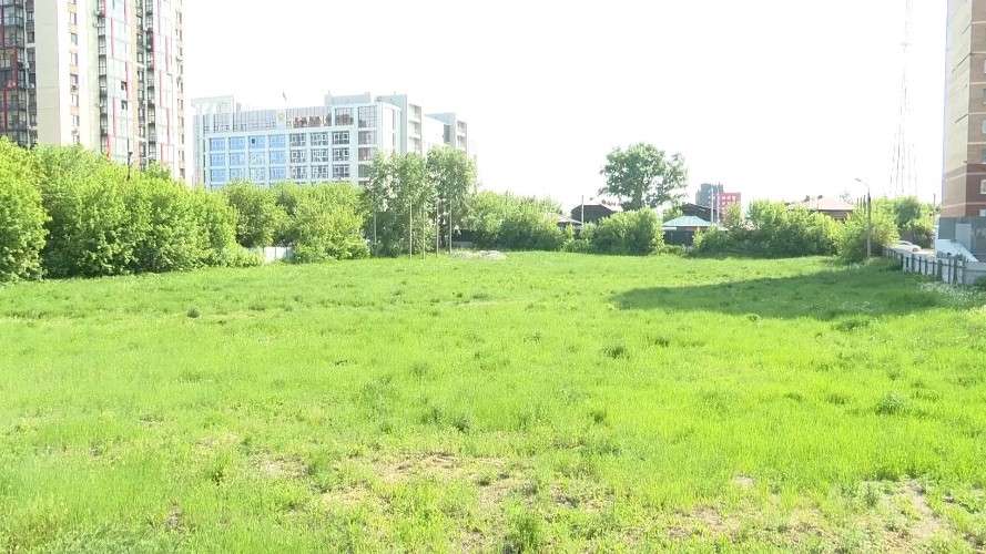 стадион, трава, участок