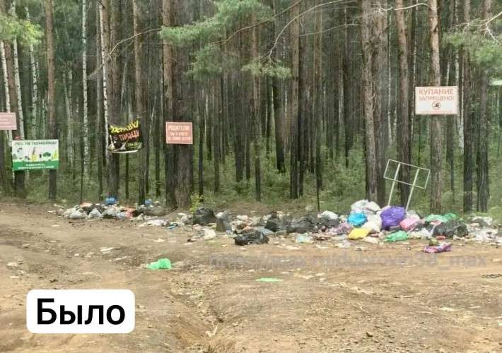 Свалка между дорогой и лесом