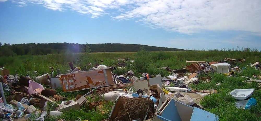 Свалка бытового и строительного мусора (обломки мебели, доски, пластик, пакеты) прямо на зеленой траве у лесополосы. Небо ясное, с легкими облаками.