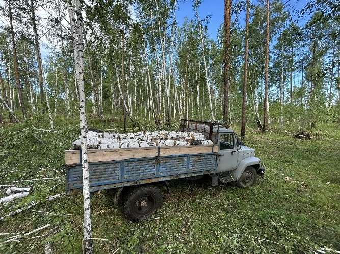 Грузовик с серой кабиной и кузовом, наращенным деревянными бортами, стоит на лесной поляне среди берез. Кузов полностью загружен белыми мешками.