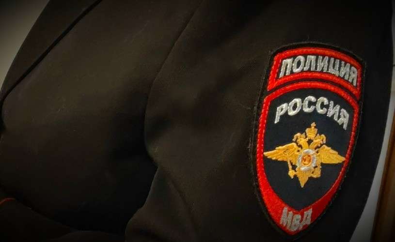 Полицейский в Усть-Илимском районе застрелил медведя в СНТ