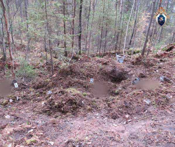 В Нижнеилимском районе сразу двух человек загрызли медведи