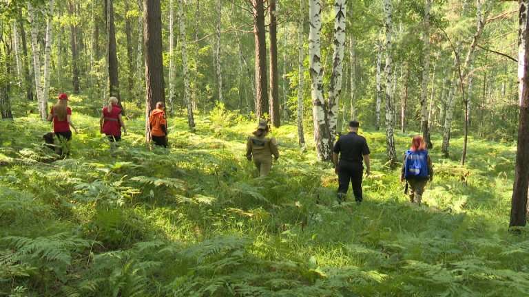 Лес ошибок не прощает: масштабные учения по поиску людей в тайге провели под Иркутском