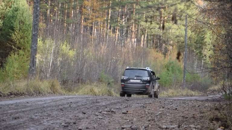 Вы спросили - мы ответили: как узнать, когда и где в Иркутской области запрещено посещать леса?