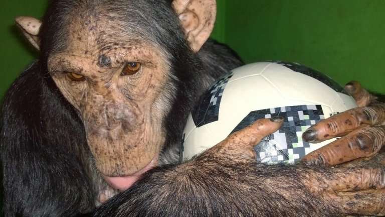 "По весточке": возможно многое