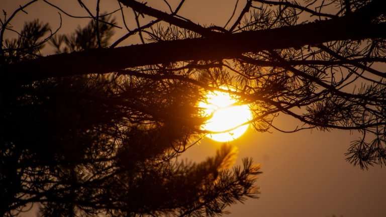 "По весточке": пусть радости будет больше