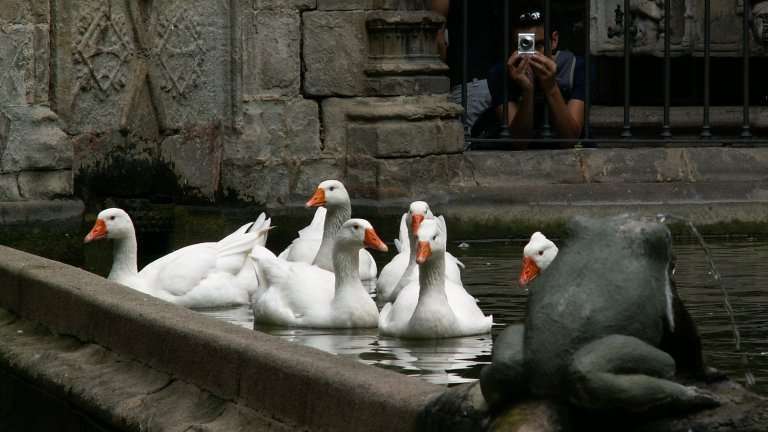 "По весточке": удивительно!