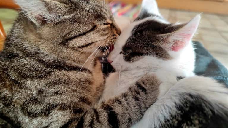 "По весточке": семейное тепло