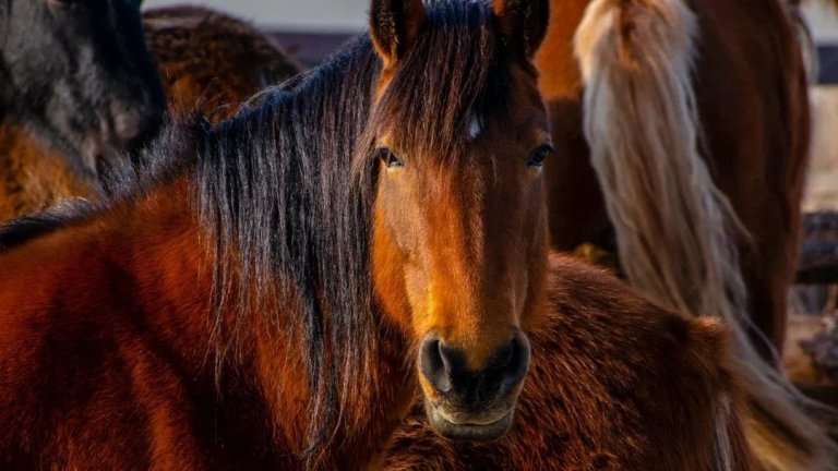 "По весточке": заряд энергии