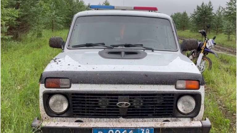 Больше двух суток провели в тайге заблудившиеся сборщики дикоросов из Братска