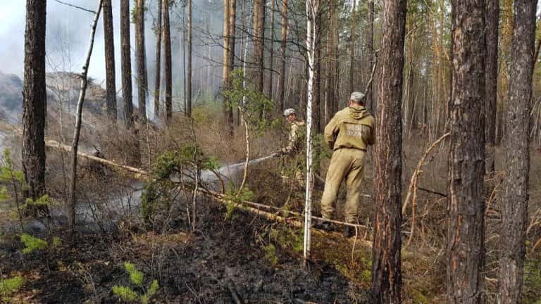 Четыре лесных пожара действуют в Приангарье