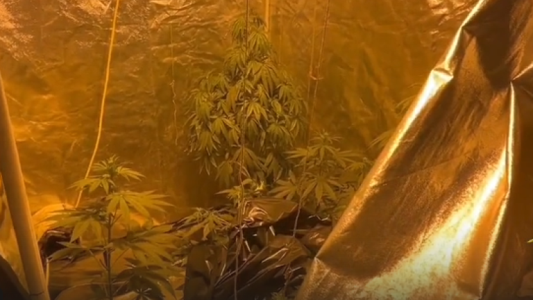 Группу наркодельцов раскрыли в Иркутской области