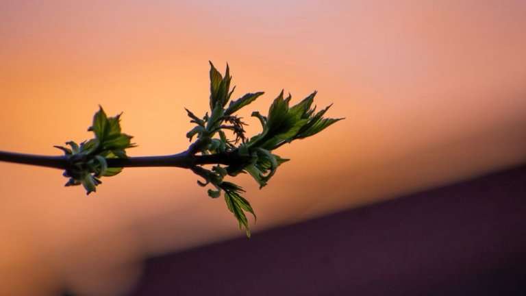 Заморозки, ветер и высокая пожароопасность: прогноз синоптиков на 21 мая