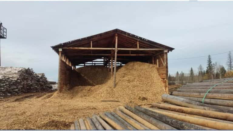 В загрязнении воздуха на территории Казачинско-Ленского района обвиняют лесозаготовителей