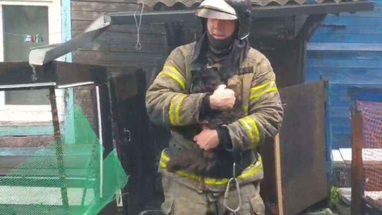 Восьмерых жильцов, кошку и собаку эвакуировали из горящего в центре Иркутска дома