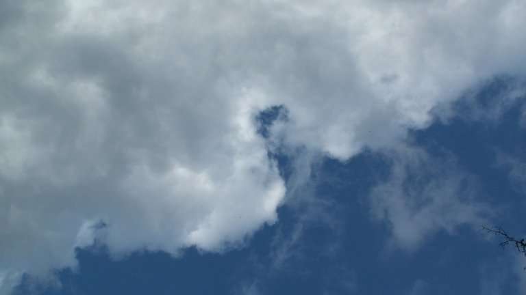 На 97,8% сбываются прогнозы Иркутского управления Росгидромета