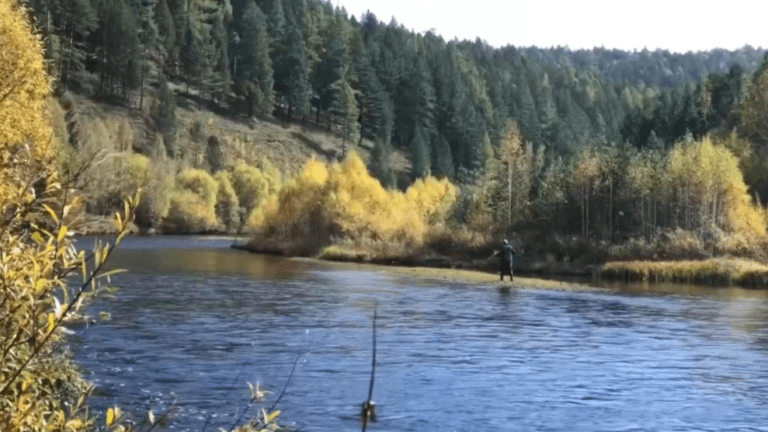 Охотники и рыболовы соревновались в выходные в Усольском районе