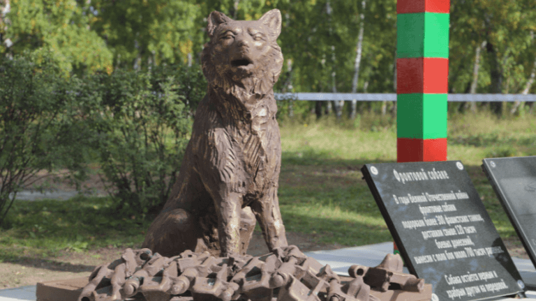 Памятник псу Донбассу установили в посёлке Среднем Усольского района