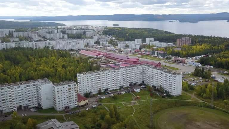 Рысь съела кроликов жителя частного сектора Усть-Илимска