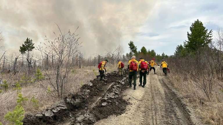 6 лесных пожаров потушили в Приангарье за сутки