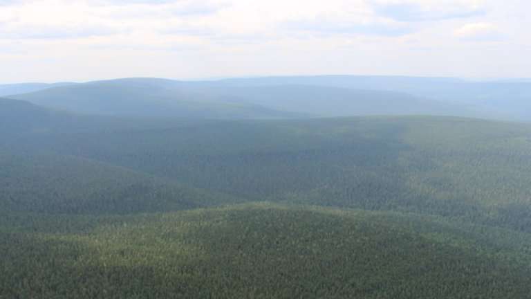 Пожароопасный сезон закончился в 9 лесничествах Иркутской области