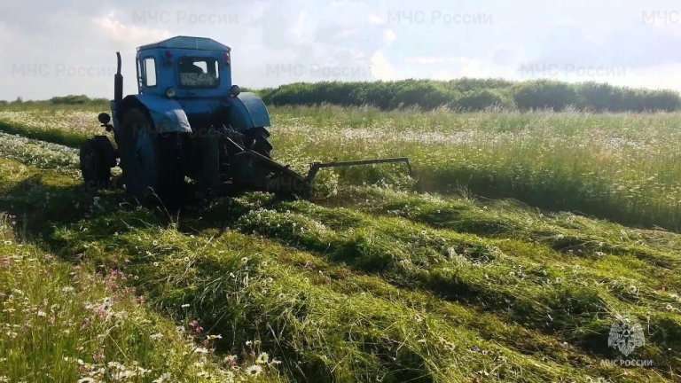 Подготовку к пожароопасному сезону 2025 года начали в Иркутской области