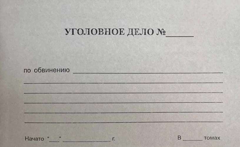 По факту нападения пантеры на ребёнка в Ангарске возбуждено уголовное дело