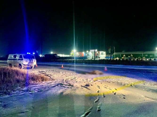 В Братске насмерть сбили пешехода