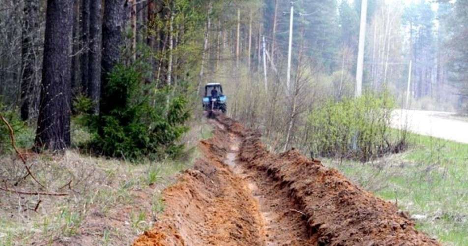 34 км минерализованных полос обновили и создали в Братске