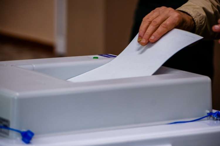 голосование