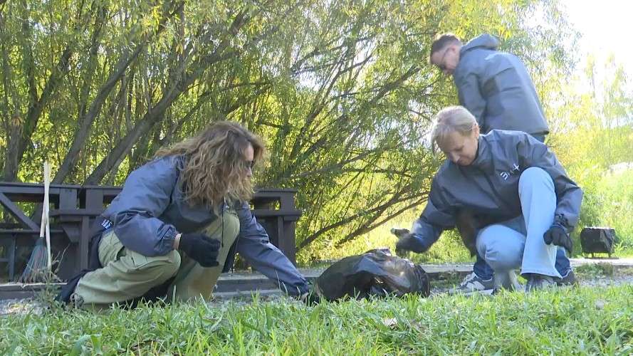 Уборка мусора