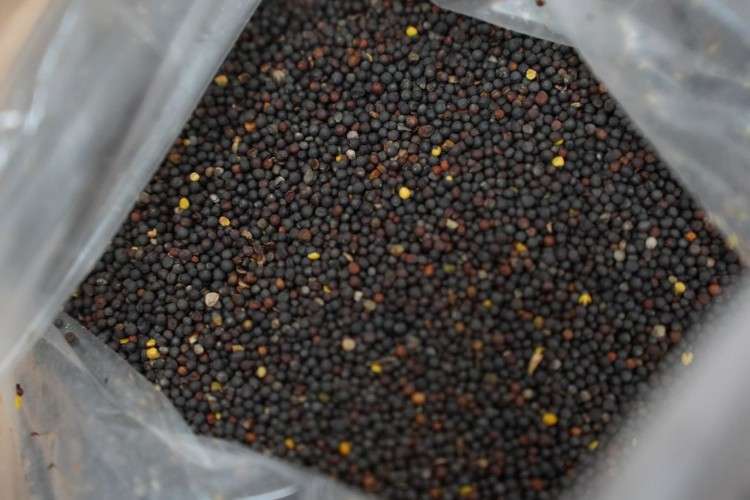 Сельхозпродукция