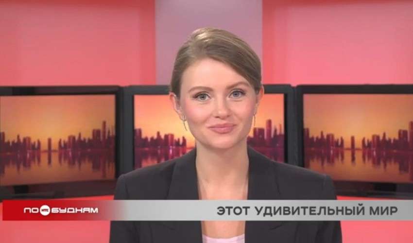 Новости ПО БУДНЯМ 18.12.2025