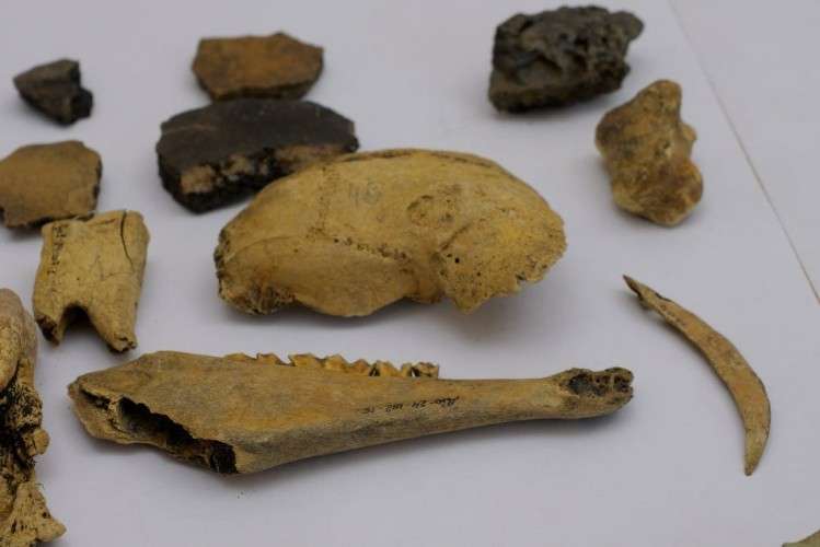 Следанные в Приангарье археологические находки