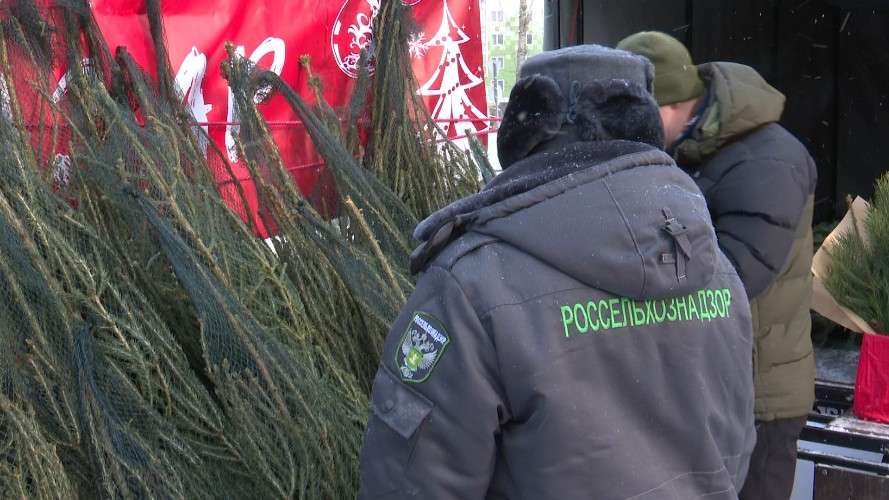 рейд по елочным базарам