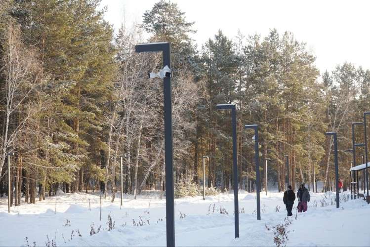 камеры в сквере