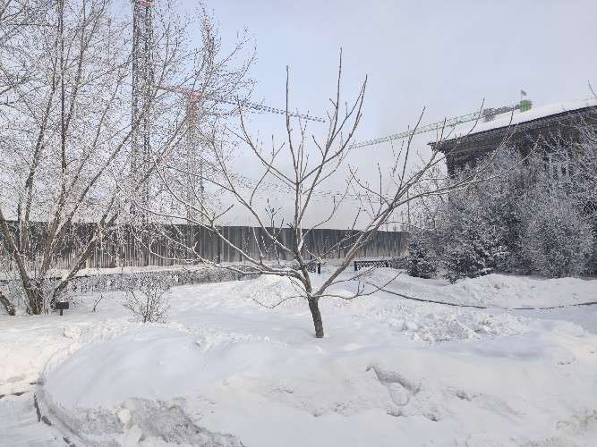 снег, сугробы, деревья, дом, небо, зима