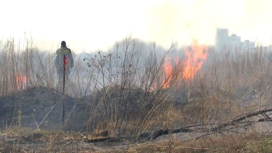 пожар на пустыре